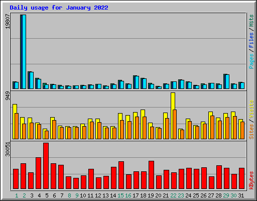 Daily usage for January 2022