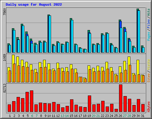 Daily usage for August 2022