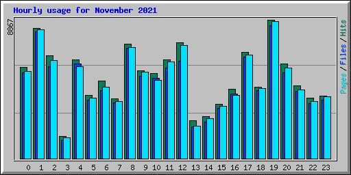 Hourly usage for November 2021