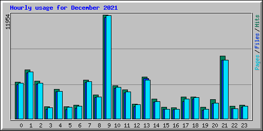 Hourly usage for December 2021