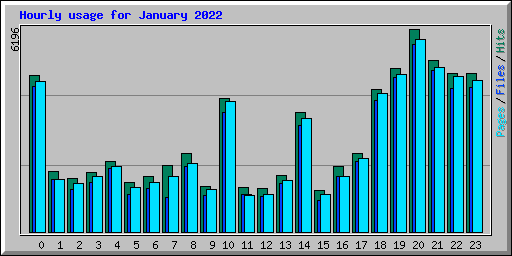 Hourly usage for January 2022
