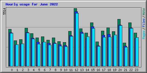 Hourly usage for June 2022