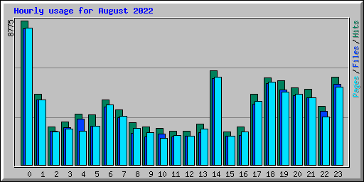 Hourly usage for August 2022